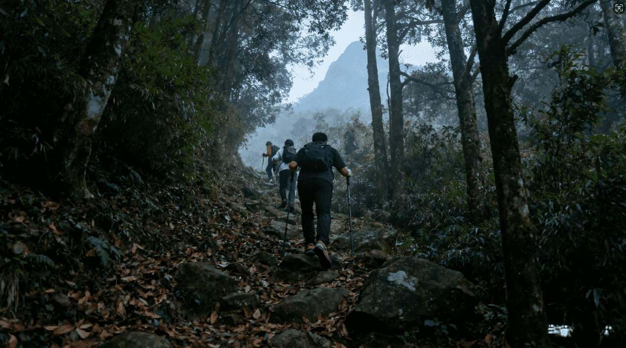 全面解析快喵加速器的使用体验与性能表现评测